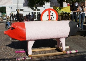 Bild des Rot-Schwarzen steirischen Sparschweins der Bewegung P25