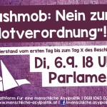 Flyer für FlashMog gegen Notverordnung